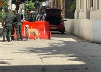 Falsa alarma por presunto ‘carro-bomba’ detrás de la Alcaldía