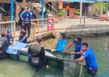 Falleció la manatí rescatada de la Ciénaga de Cicuco