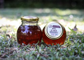 Corpamag recibe registro de signo distintivo de la marca Negocios Verdes