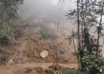 Vías trancadas y grupos delincuenciales afectan cosecha cafetera en Ciénaga