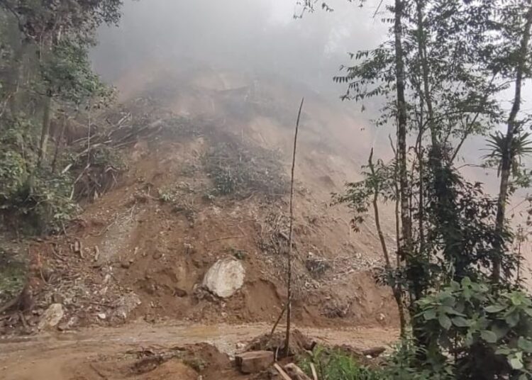 Vías trancadas y grupos delincuenciales afectan cosecha cafetera en Ciénaga