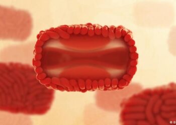 La viruela del mono podría transmitirse también por vía aérea