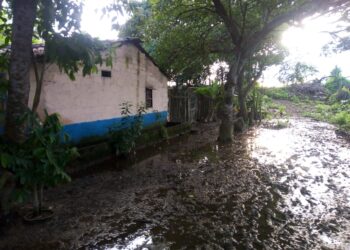 El agua se “tragó” la cosecha y el ganado en Guaimaro, Magdalena