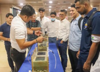 En Santa Marta: diseñan prototipo de pavimento con energía solar