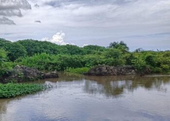 Iniciaron las obras hidráulicas en el caño Los Micos