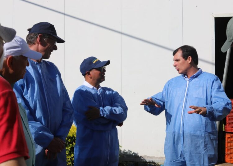 Asbama y delegados de Unión Europea recorren fincas bananeras del Caribe