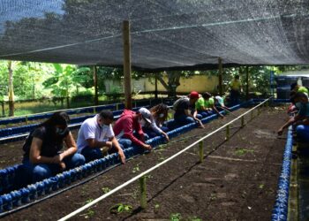 Infotep comienza 2023 con nuevo registro calificado y labores en Aracataca