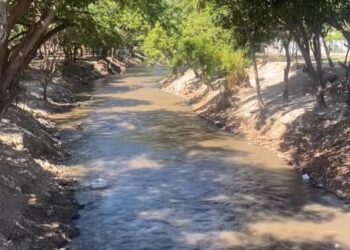 Expectativa por acciones para la recuperación del río Manzanares