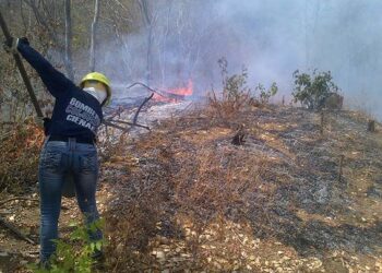 Los incendios están azotando a Fundación y Zona Bananera
