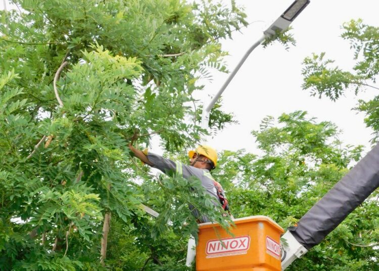 Continúa la expansión del alumbrado público en Santa Marta