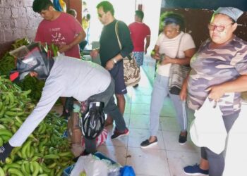 La especulación está empujando el precio del guineo verde en el Magdalena