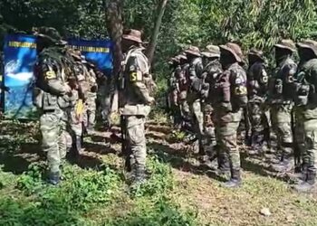 Autodefensas piden reunión con Petro en Minca