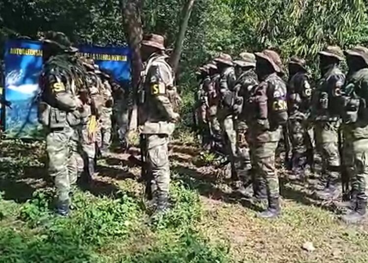 Autodefensas piden reunión con Petro en Minca