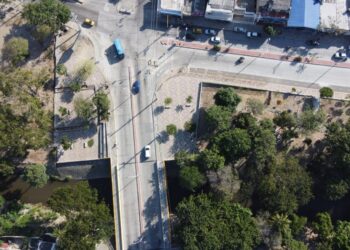 1.800 árboles en la construcción de los nuevos tramos de la calle 30