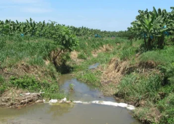 El recordatorio de Corpamag: es tiempo de pagar la tasa por uso de agua