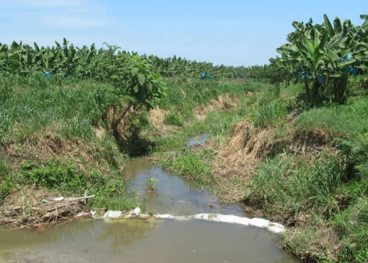 El recordatorio de Corpamag: es tiempo de pagar la tasa por uso de agua