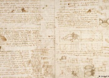 Da Vinci comprendió la gravedad un siglo antes que Newton: estudio