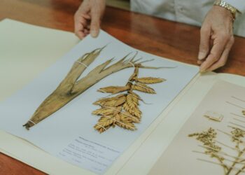El herbario más grande del Caribe en Santa Marta: ya colecciona 20.000 especies
