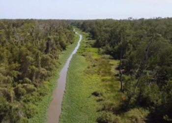 Arrancan las obras de mantenimiento en el caño Clarín Viejo en Sitionuevo