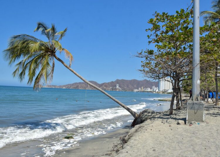El plan de choque para contener riesgos por erosión en Playa Salguero