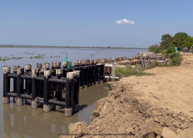 El río Magdalena derribó parte de terraplén en Guáimaro, Salamina