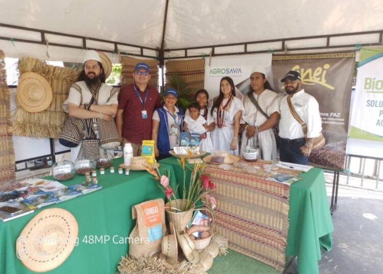 El fríjol biofortificado para erradicar la desnutrición en la Sierra Nevada