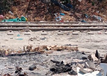 No era un cadáver: era «material didáctico», sobre cuerpo hallado en El Yucal