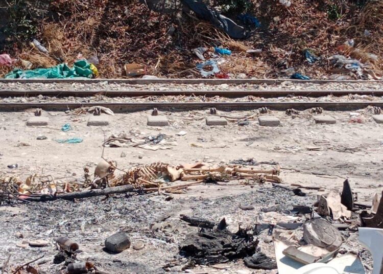 No era un cadáver: era «material didáctico», sobre cuerpo hallado en El Yucal