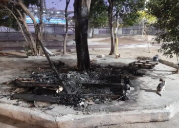 Queman la Casa de Los Gatos del ‘Poli’  con varios animalitos en su interior