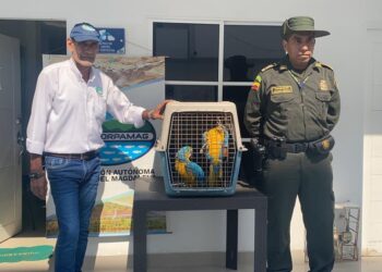 Freno a la comercialización de especies silvestres en el Magdalena