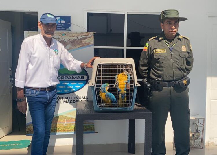 Freno a la comercialización de especies silvestres en el Magdalena