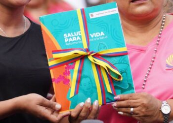 Desaceleración económica afectaría financiación de varios proyectos del Gobierno: experto