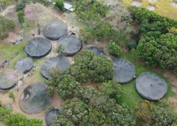 Le ‘pillan’ contrabando de energía a cantante Álex Manga