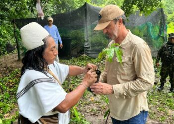 ¿Cómo le fue a Corpamag en su gestión del 2022?
