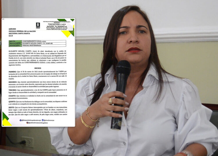 Diputada Molina denuncia amenazas en su contra