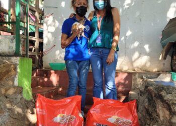 1.954 kilos de concentrado para animales callejeros en Santa Marta
