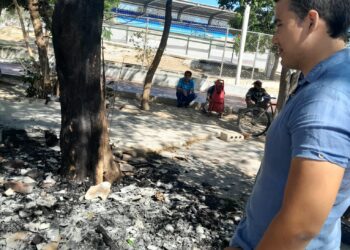 Han pasado 17 días y no se sabe quien quemó la casa de gatos en Santa Marta