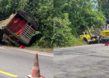 «Llovieron» los mangos en la Troncal de Oriente