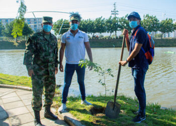 ONU reconoce a Santa Marta como una de las ‘Ciudades Árbol del Mundo’