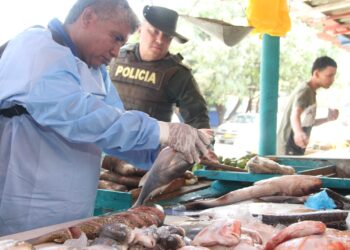 Lo que debe tener en cuenta para no intoxicarse con pescado en Semana Santa