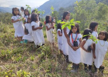 En el 2023 Corpamag sembrará en Sierra Nevada 2.200 árboles de su propio vivero