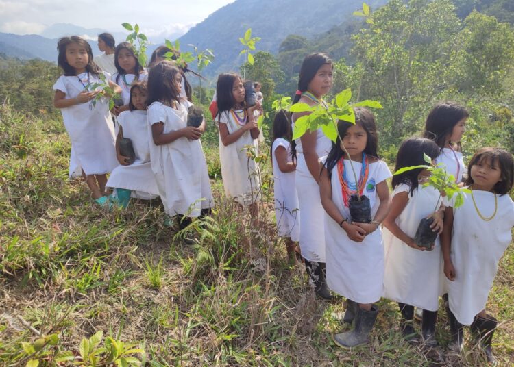 En el 2023 Corpamag sembrará en Sierra Nevada 2.200 árboles de su propio vivero