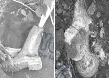 Hallan cadáver en San Pedro de la Sierra