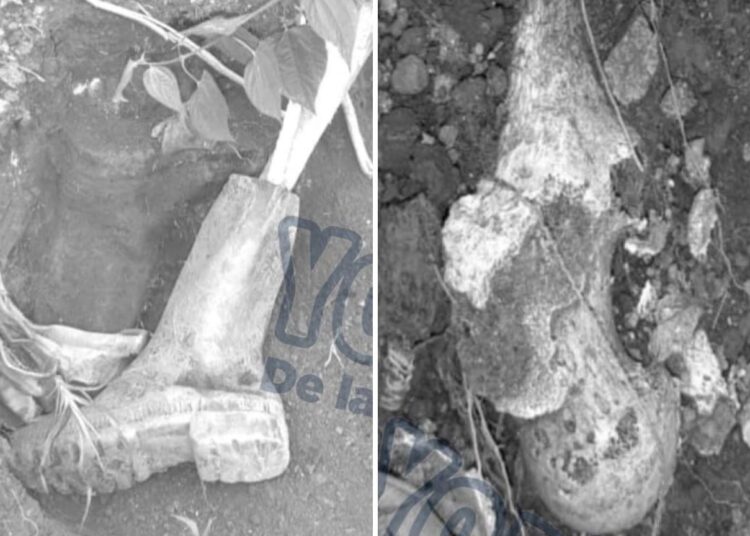 Hallan cadáver en San Pedro de la Sierra