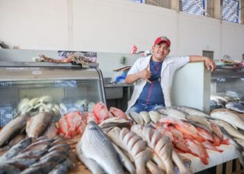 En el Mercado Público, pescado de calidad a precios bajos en Semana Santa