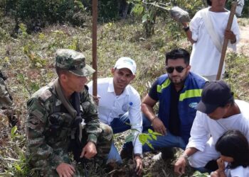 200 árboles para fortalecer el ecosistema de la Sierra Nevada
