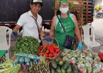 Este fin de semana: feria de los empresarios agro en Santa Ana