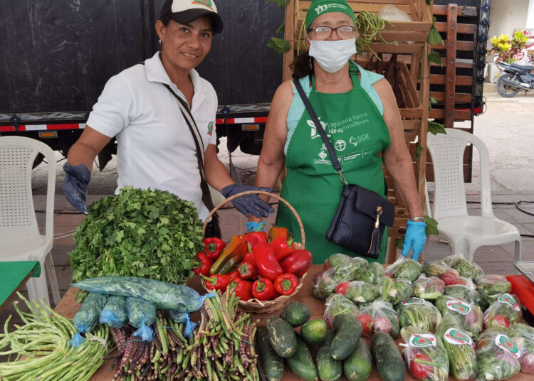 Este fin de semana: feria de los empresarios agro en Santa Ana