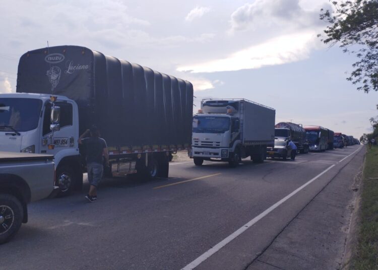 Bloqueos en la Troncal de Oriente generan pérdidas millonarias a bananeros: Asbama