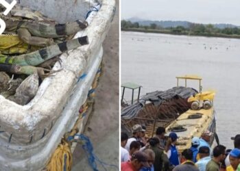 Tráfico ilegal de especies: encuentran en El Banco cavas llena de iguanas